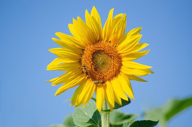 运势|10月中旬期间，爱情运势翻盘，前任醒悟，旧情复燃的四大星座