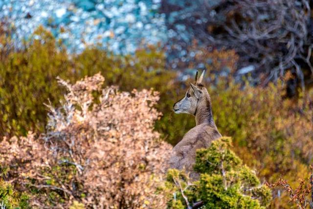 『涠洲岛』越到夏天，越是不能去的9个国内旅行地！