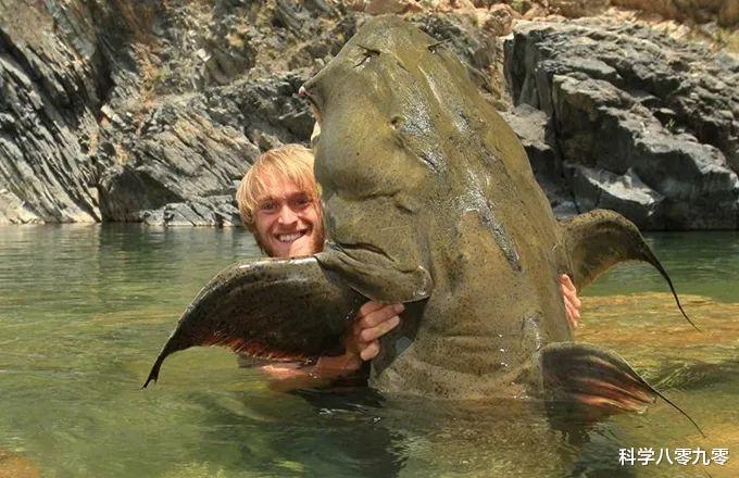 「澜沧江」澜沧江里的霸主，满嘴尖牙、体长可达2米，一口吞掉人类无压力！