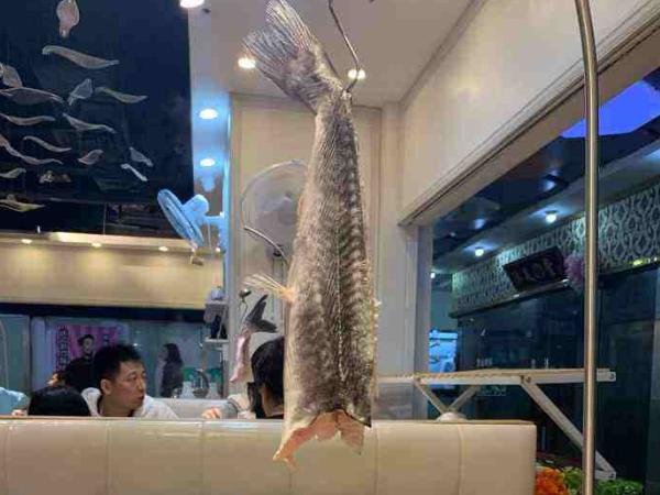 「广州市」这是广州最“残忍”的一道菜,吃的人赞不绝口,做的人累死累活!