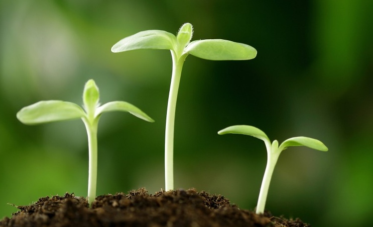 运势|8月开始财旺官高，财富高涨，贵人八方来，日子兴隆昌盛的3生肖