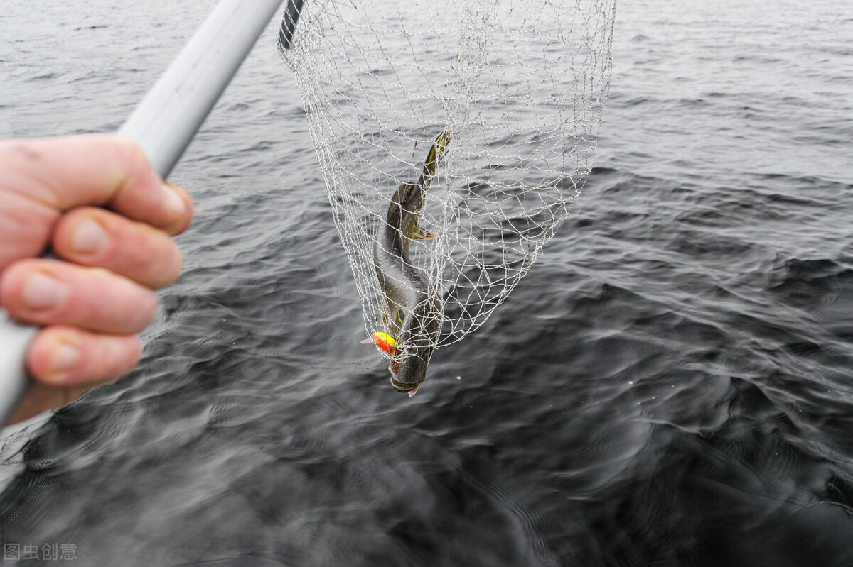 |钓鱼,你是钓深,还是钓浅?鱼获差距很大