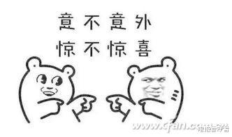 GPU|Win10 2004开启GPU加速 这些小伙伴有福了