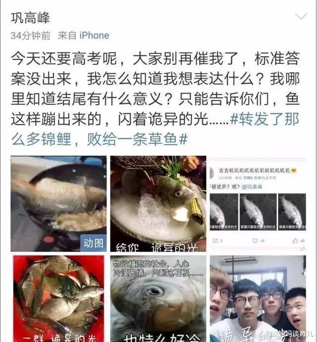作文|高考语文作文：29万浙江考生被一条“鱼”打败，文章作者：我也懵