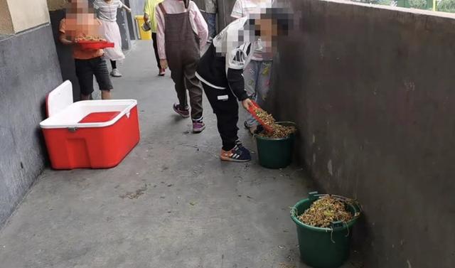 北京日报客户端|安徽阜阳“学生倒掉营养餐”：两名公职人员被停职