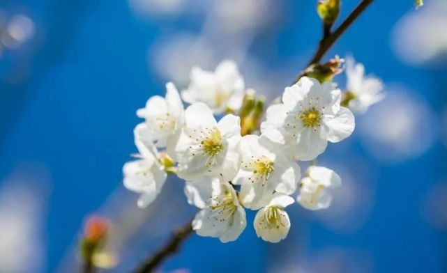 「十二星座」未来五个月，有很多赚钱机会，财运旺盛，横财涌进来的四属相生肖