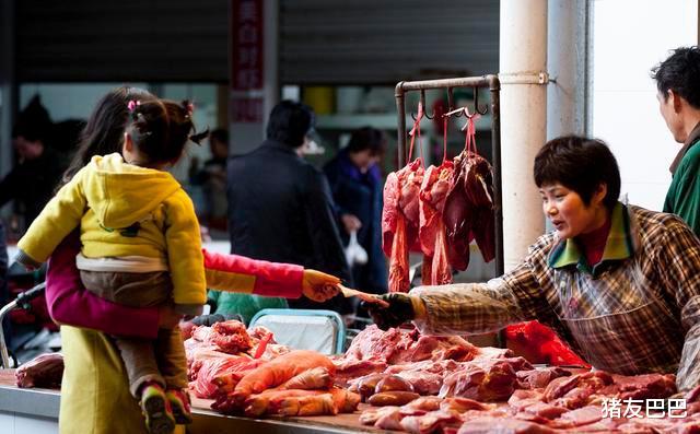 生猪价格|9月3日猪价:连涨不止!24400吨冻肉来袭,猪价上涨“压不住”?