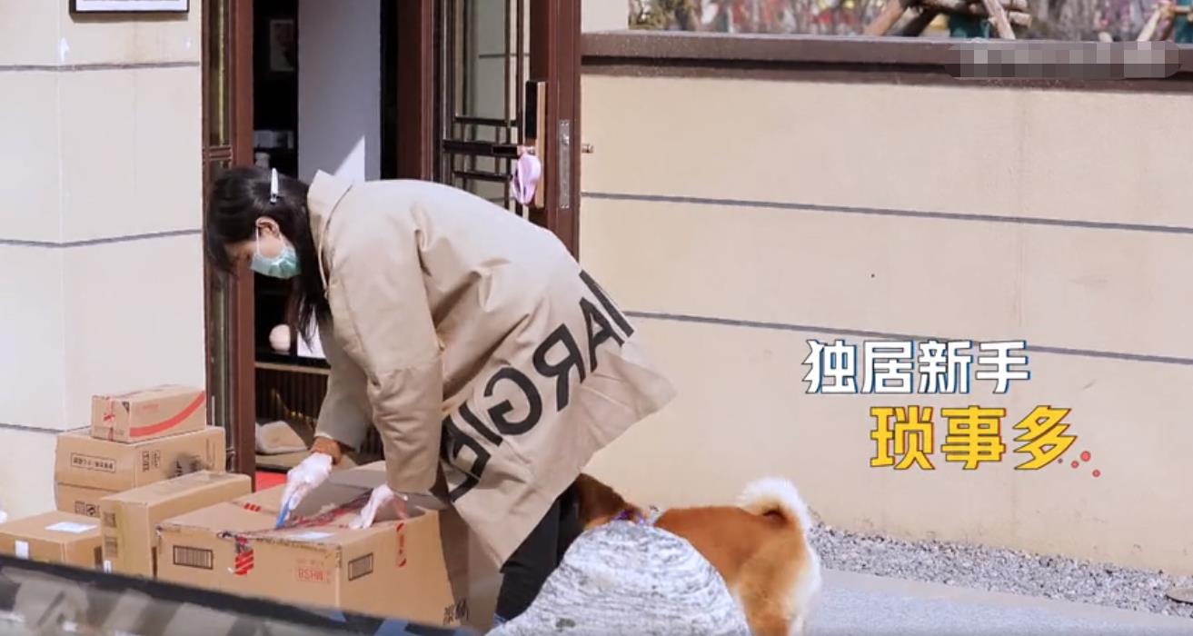 郑爽@郑爽难以忍受独居生活在家愤怒摔东西，崩溃大哭喊话：并不想一个人