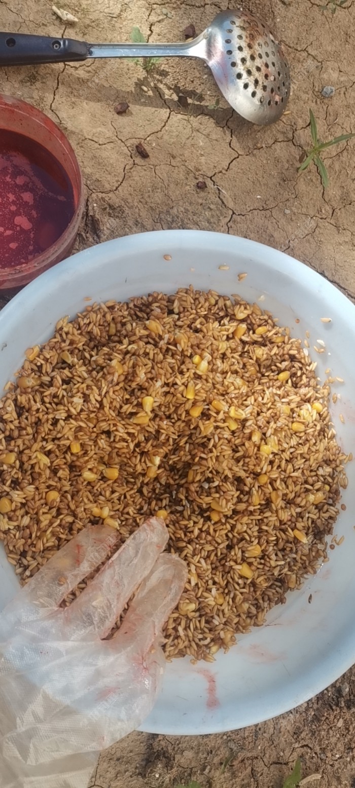 麦穗|谷麦自制分享