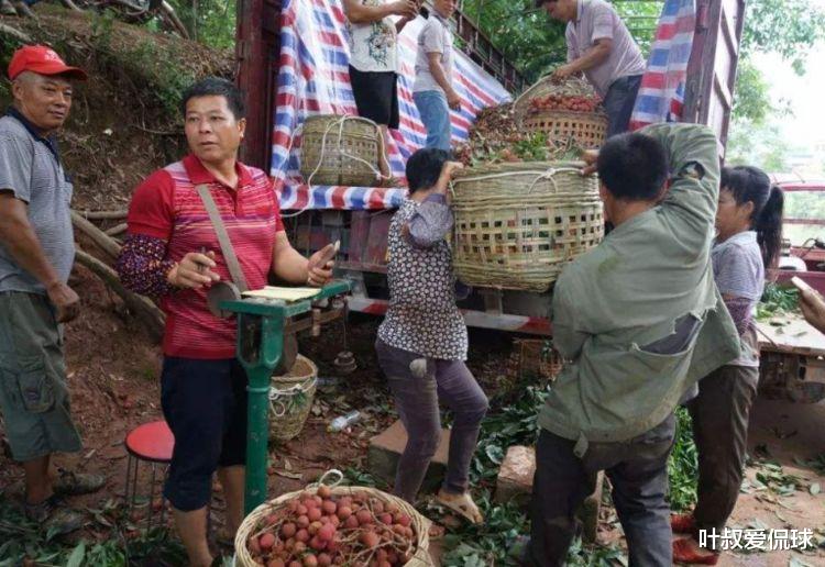 越南|越南再次得到中国信任？中直接进口5000吨！越：中国恩情无以为报