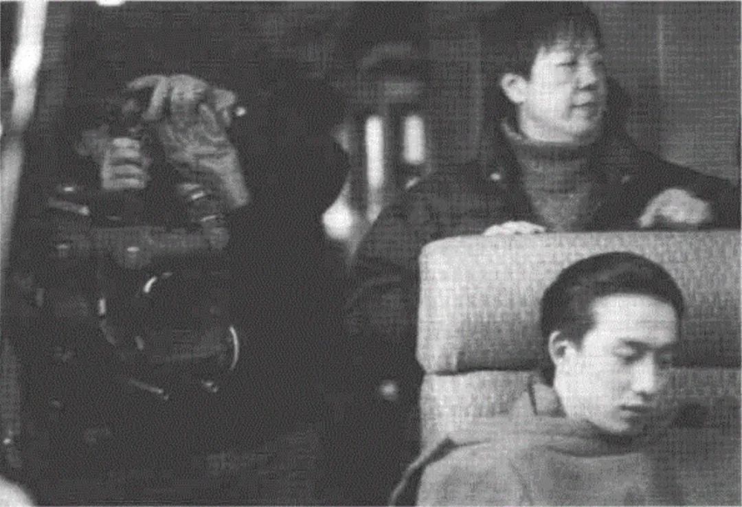 许鞍华|越是全网群嘲，我越怀念这部良心华语片