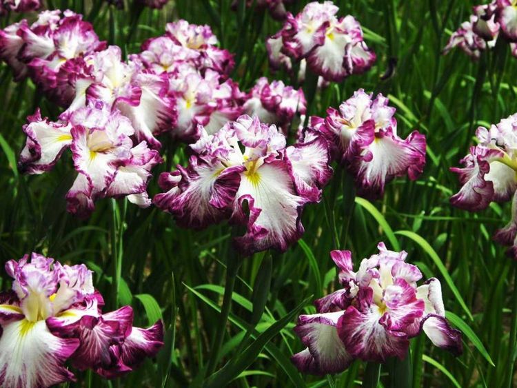 天蝎座|九月开始，大吉大利，有钱花还能找到真爱，添丁添子的4大生肖