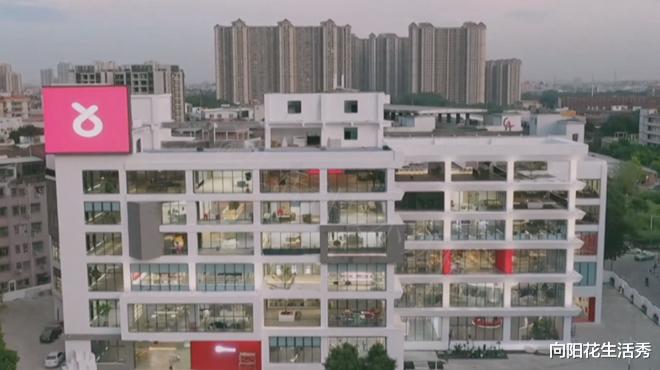 演唱会|辛巴四兄弟单膝跪下致谢，现场放出狠话：多平台切磋！