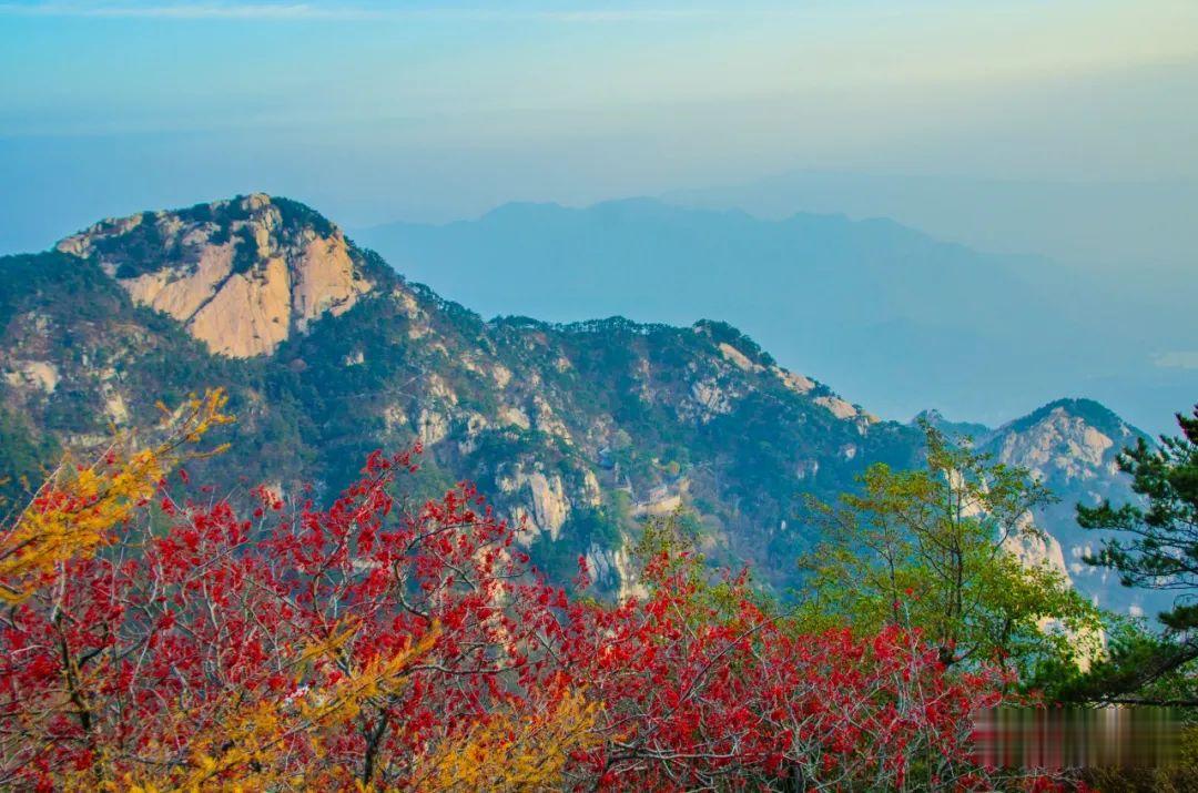 |有此美景 何必远行