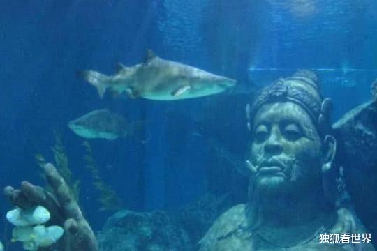 科学家|海底出现巨大“水下宫殿”，科学家感到担忧：人类的警钟已敲响