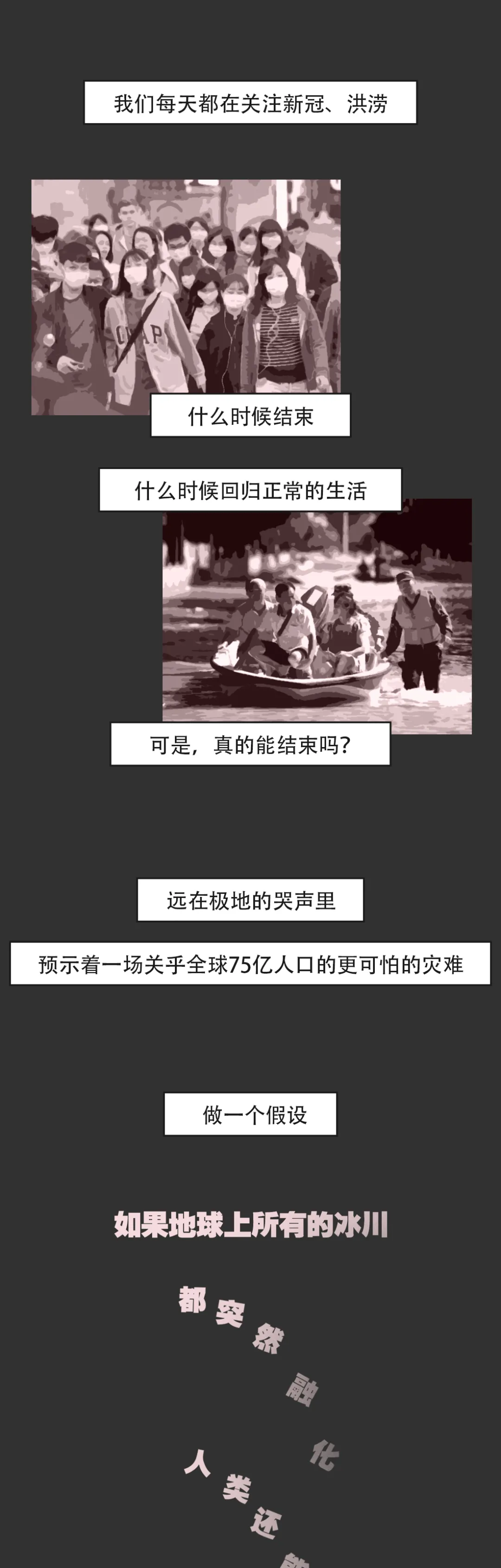 北极熊|她挣扎48小时后死去，无人知晓