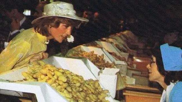 戴安娜▲戴安娜“蛋黄的长裙，蓬松的头发”美炸！威廉给她化妆画面太温馨