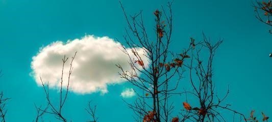 运势|独立豁达,纯净高贵的星座女,很多人只能观望,偷偷迷恋