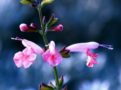 天蝎座|下半年最有可能收获爱情的4个星座，默默守护，幸福如期而至