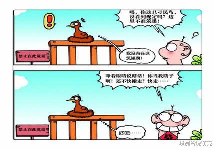 搞笑漫画：一条腿的鸟行动不便，呆头为此煞费苦心做了“人腿”！