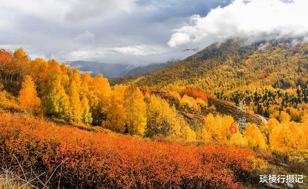 无锡|这个被人们遗忘的民族，在中国的边境，建起了一个童话世界