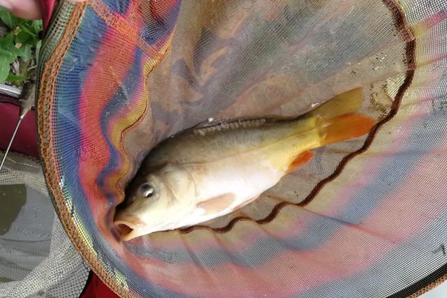 ##钓鱼人都看上去无所事事，也许事实就是如此，你是钓鱼人吗?