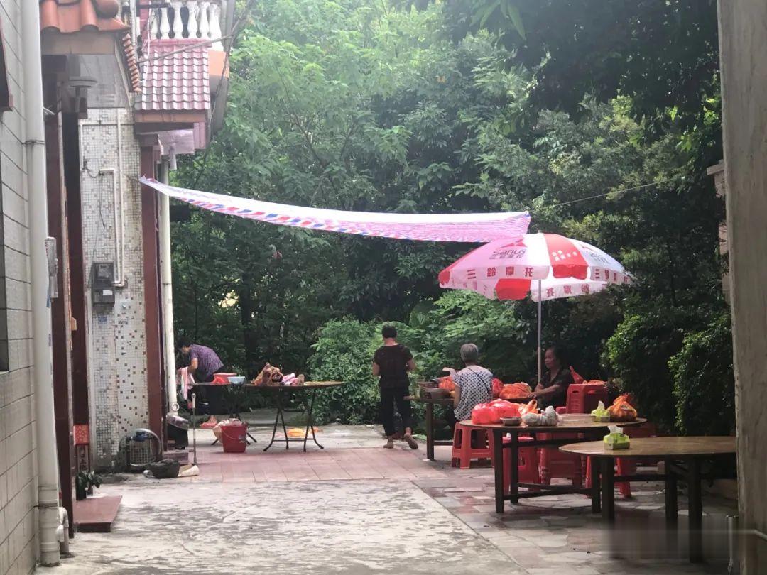 天眼新闻|视频疯传！广东一老人被狗绳拽倒，重摔身亡！更多细节披露