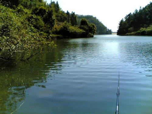 饵料|野钓时如何能调出大鱼?