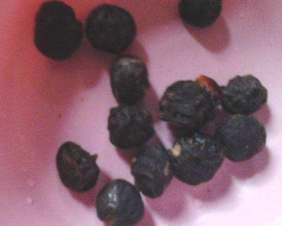 运动|三伏天,多喝“它”,祛湿除热,排毒素,健脾胃,面色红润体质好