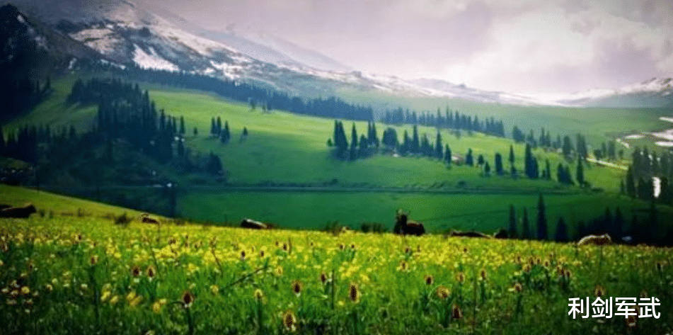 []新冠病毒真是人类制造？世卫组织公布分析结果，这次终于有了定论