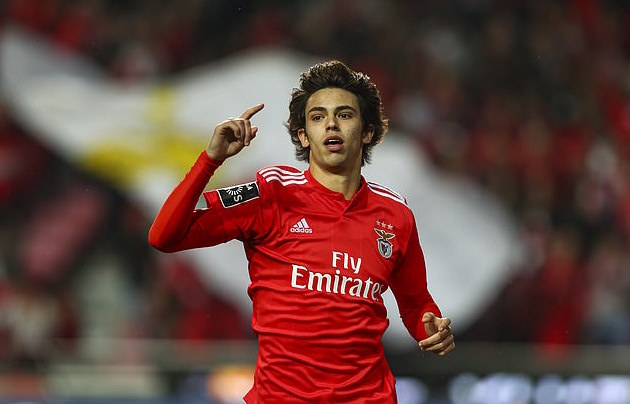 「葡超」【东哥侃球】6月4号 葡超 凌晨4: 15 费马利卡 VS 波尔图