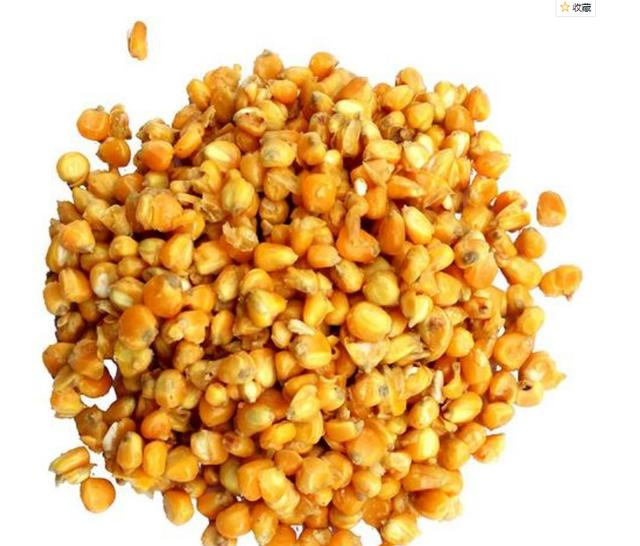 |钓鱼技巧：用玉米打窝钓大鱼，原来还有这么多诀窍！