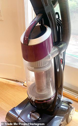 显示器|女子在网上以物换物，用一枚发夹最终换回一台苹果笔记本电脑