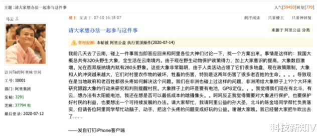 大象|曾豪掷1000万美元!马云内网发文引5.9万人关注,只为这件事