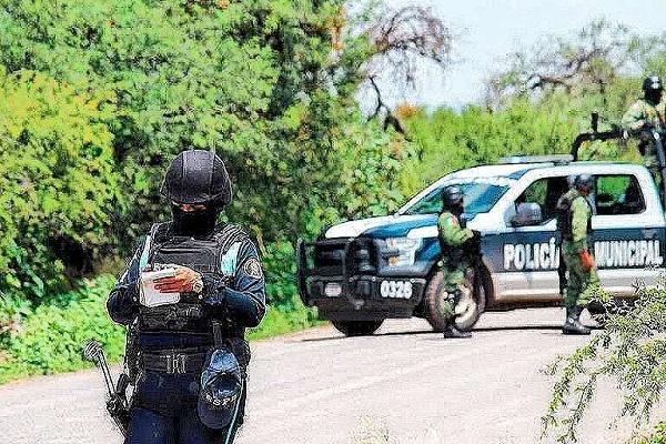 甘蔗|农民杀害12岁女孩抛尸甘蔗地，3天后，农民也被捅死扔在甘蔗地