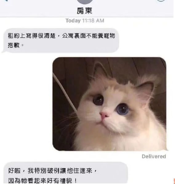 肥牛|“夏天哪种饮料让你喝一口就感觉回本了？”还是熟悉的配方，哈哈