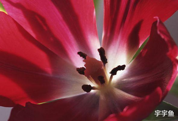 运势|9月吉星照耀，4属相运势更上一层楼，富贵堆成山，日子甜甜蜜蜜