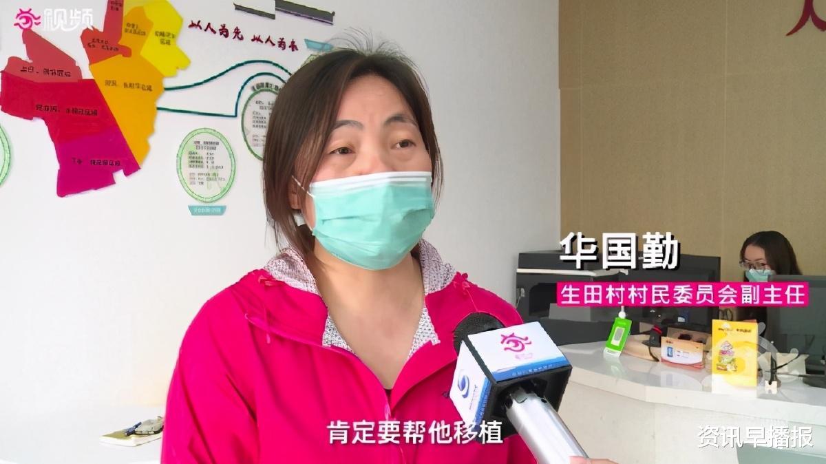 资讯早播报|苏州黄桥一棵满载50年回忆的柿子树，挂满果实突然被砍……