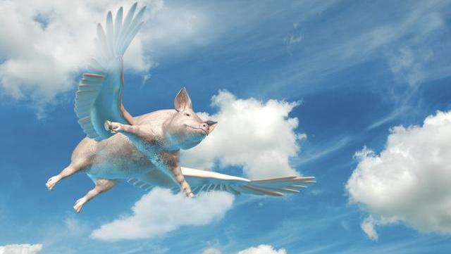 「生猪价格」6月5日猪价：4连涨后又遇“大变脸”，二师兄还能飞吗？答案来了