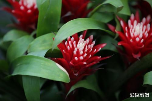 蜂蜜|10月事业升职加薪，爱情甜如蜂蜜，生活美好幸福的四个星座