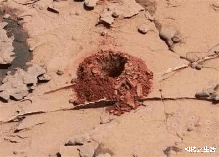 「火星」探测器传回的图片中，出现“天鹅”踪迹，难道这就是外星生物？