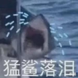 明星|好可惜啊！那些曾惊鸿一瞥偷走大家的心之后，默默的长残了的明星