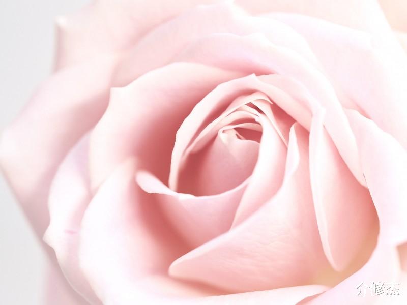 「生肖」6月异性缘旺，桃花满天飞，余生爱意满满，能找到真爱的四大生肖