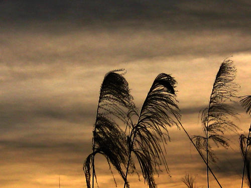 「十二星座」未来十天，往事如烟，梦碎难圆，与前任一刀两断重新寻爱的三星座