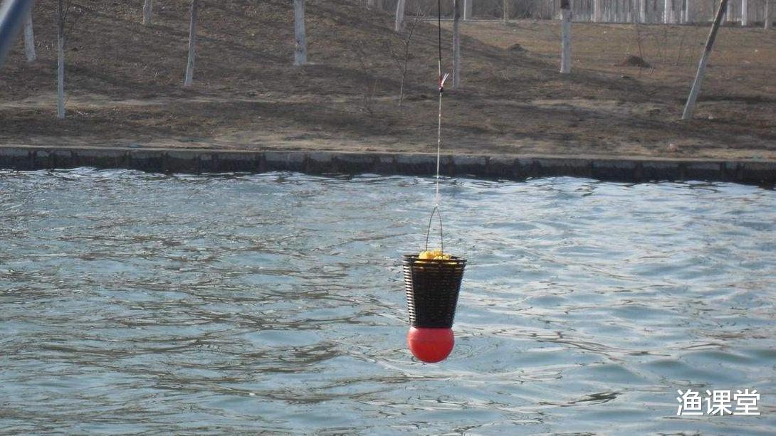 @不打窝有鱼打窝反而无鱼上钩咋回事？3句话总结到位，很多人不知