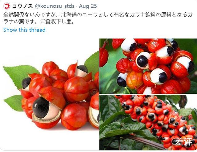 案件通报|日本世博会的这个logo，被网友们恶搞上了热搜