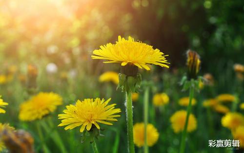 天秤座|10月份前缘未尽，分手终会复合，能再一次牵手的三个星座