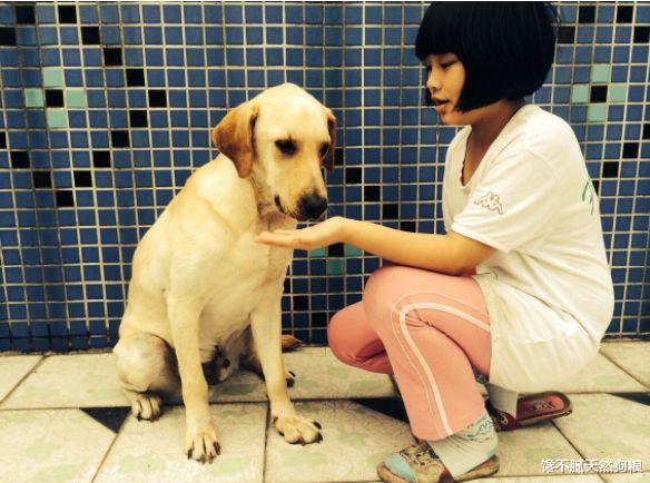 狗狗忽然学狼叫，是在告诉你这5件事，你知道吗？