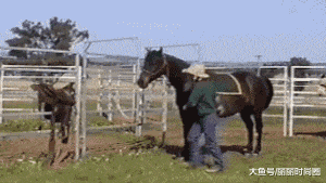 ##搞笑GIF：这孩子有前途，这么小就知道看美女？