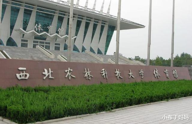 高校|陕西“最悲情”一所大学，明明是985高校，却被误认为野鸡大学